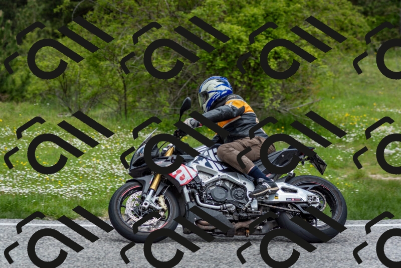 202505181130-DSC_8565_c2