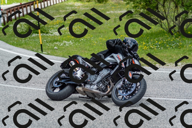 202505181130-DSC_8572_c2