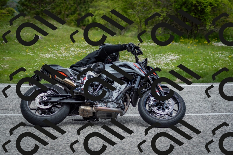 202505181130-DSC_8573_c2