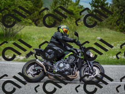 202505181130-DSC_8576_c2