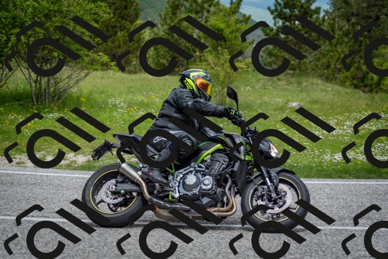 202505181130-DSC_8576_c2