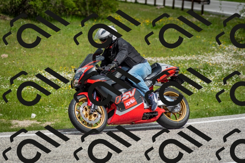 202505181131-DSC_8579_c2