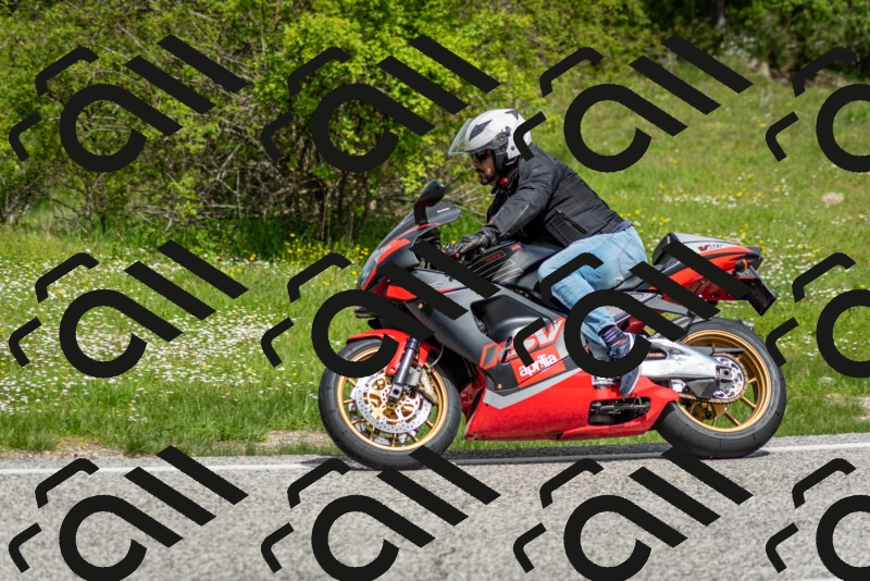 202505181131-DSC_8580_c2