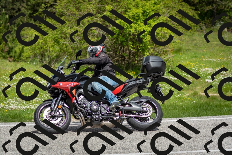 202505181131-DSC_8583_c2