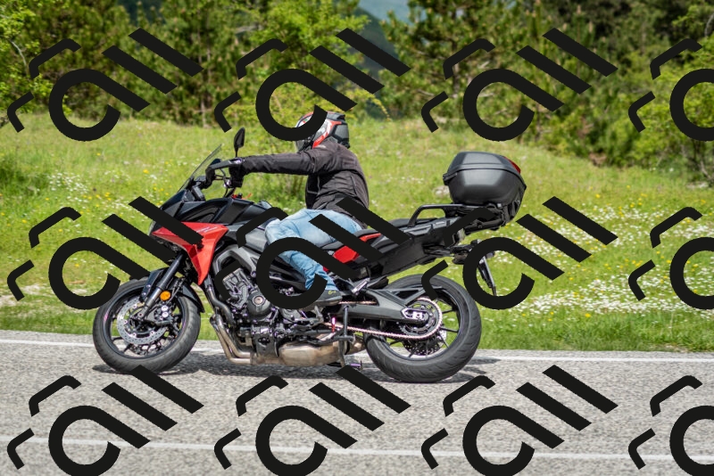 202505181131-DSC_8584_c2