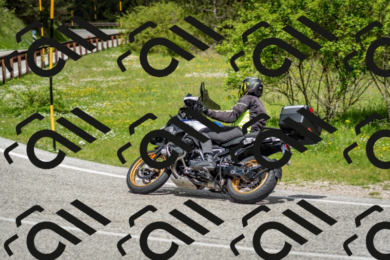 202505181131-DSC_8585_c2