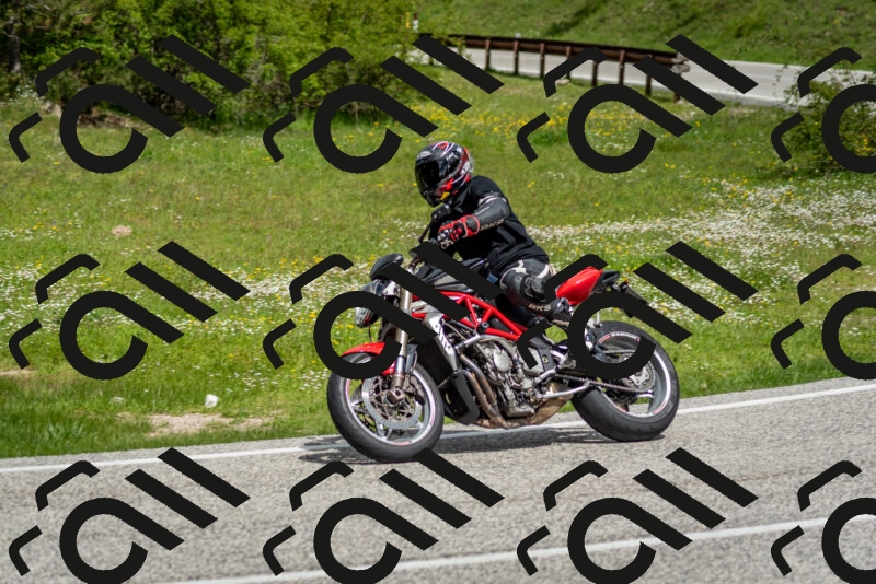 202505181131-DSC_8586_c2