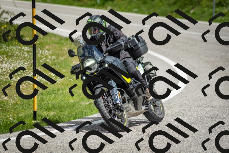 202505181131-DSC_8589_c2