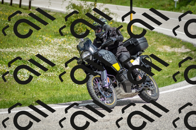 202505181131-DSC_8590_c2