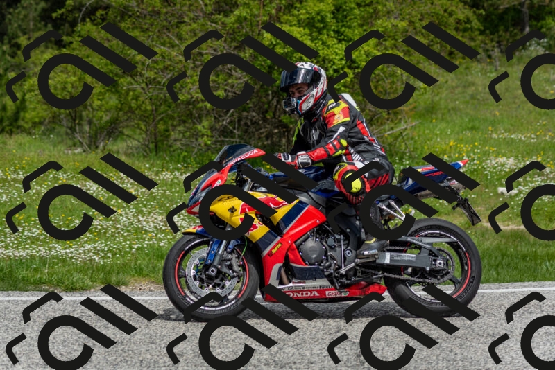 202505181131-DSC_8595_c2