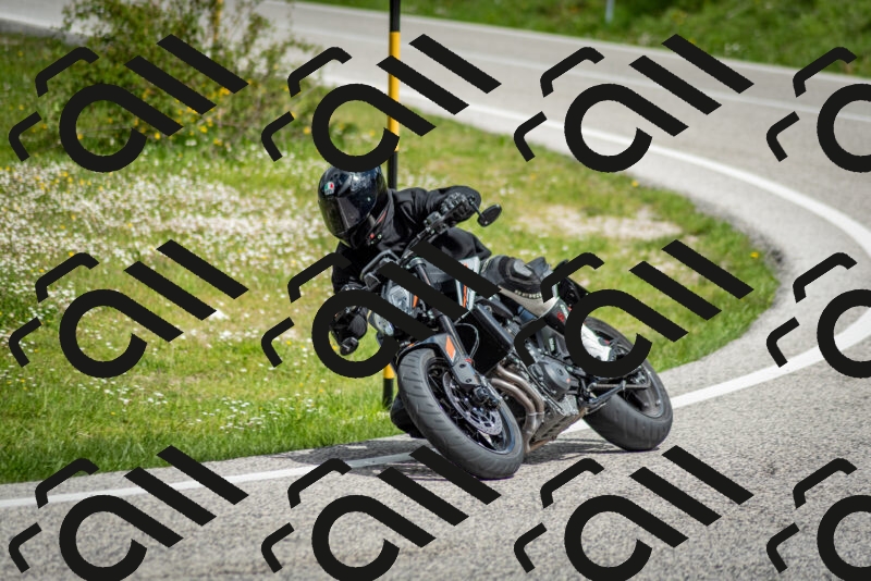 202505181131-DSC_8597_c2