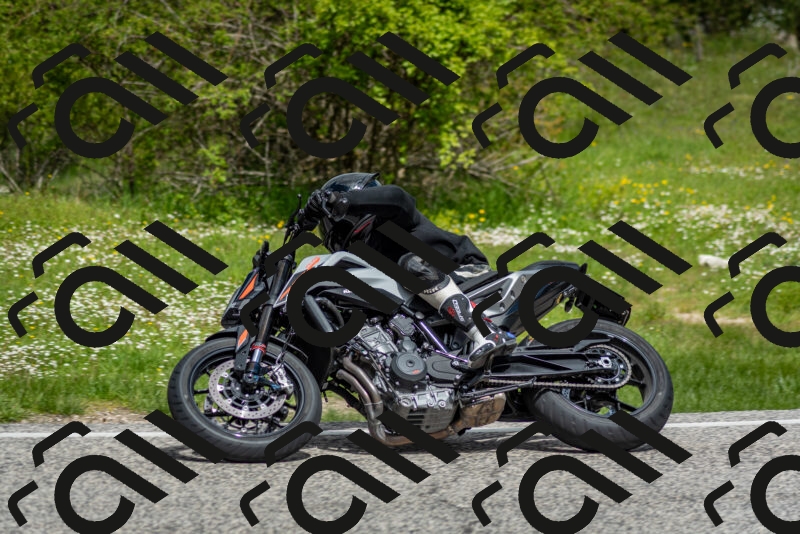 202505181131-DSC_8598_c2