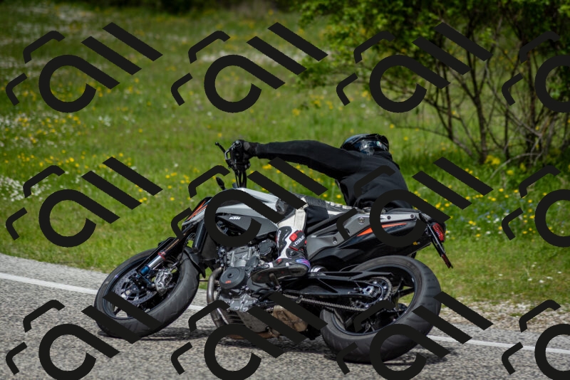 202505181131-DSC_8599_c2