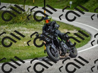 202505181131-DSC_8600_c2