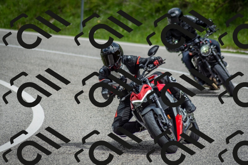 202505181132-DSC_8602_c2