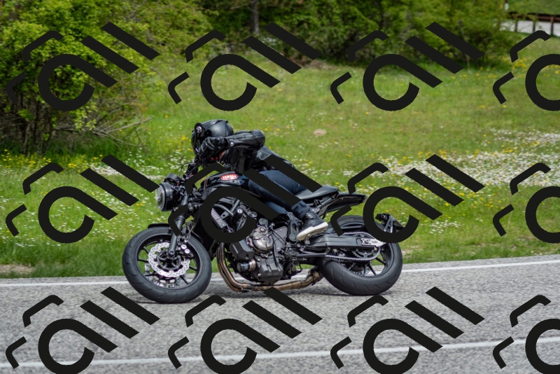 202505181132-DSC_8605_c2