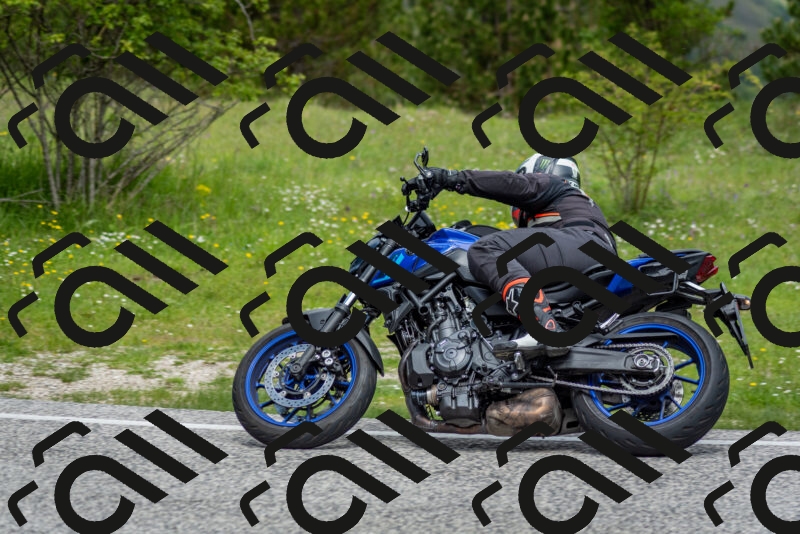 202505181132-DSC_8608_c2