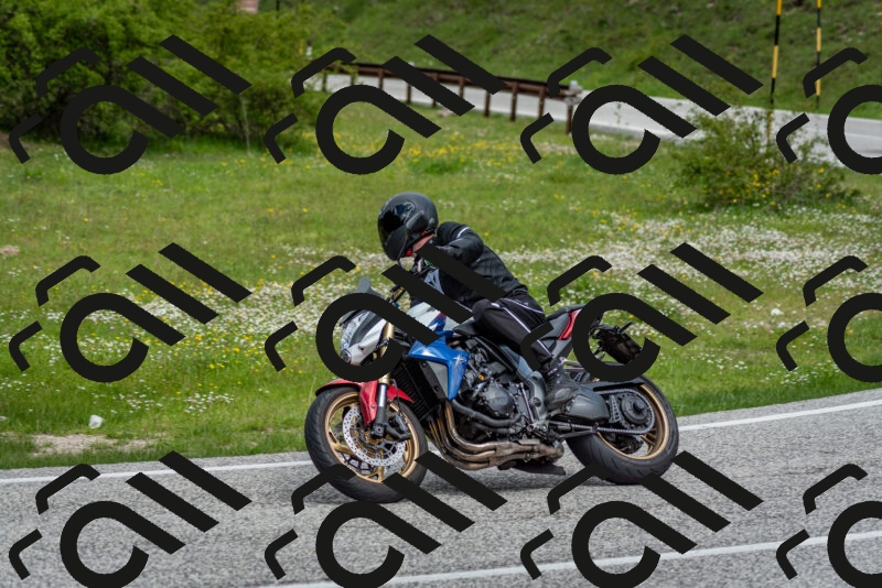 202505181132-DSC_8611_c2