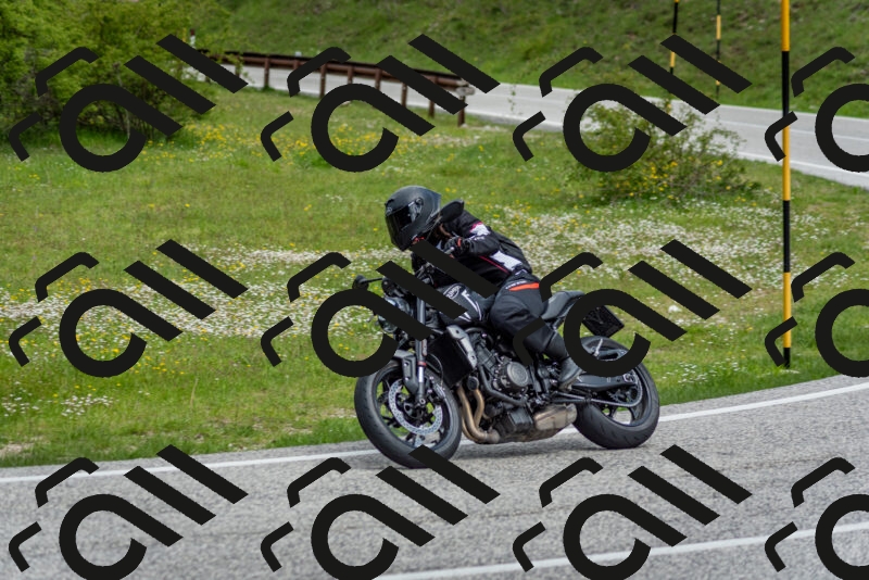 202505181132-DSC_8613_c2