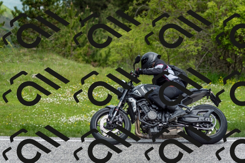 202505181132-DSC_8614_c2