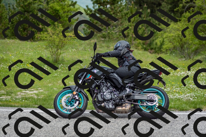 202505181132-DSC_8616_c2