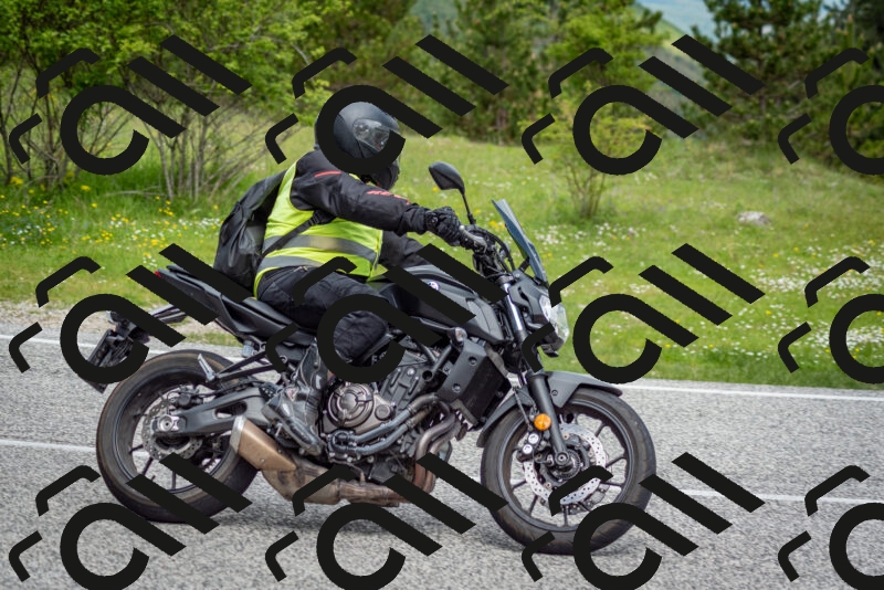 202505181132-DSC_8618_c2