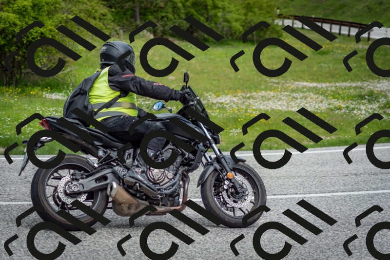 202505181132-DSC_8619_c2