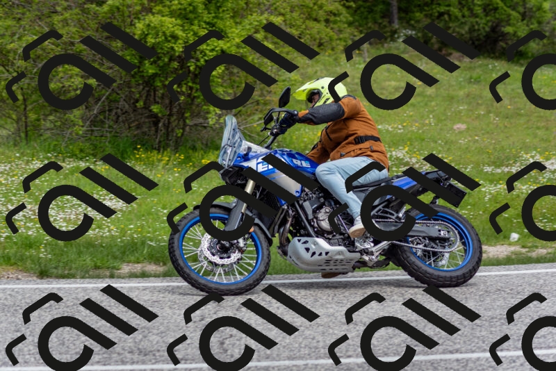 202505181132-DSC_8623_c2