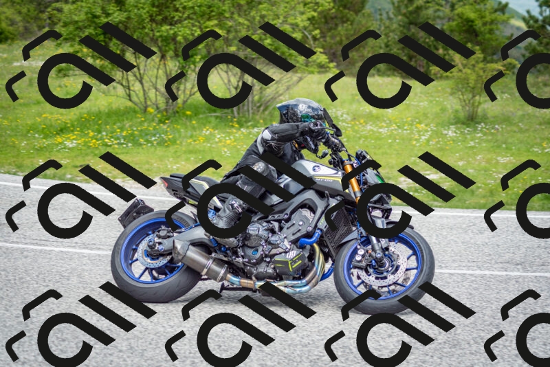 202505181132-DSC_8629_c2