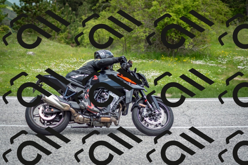 202505181132-DSC_8631_c2