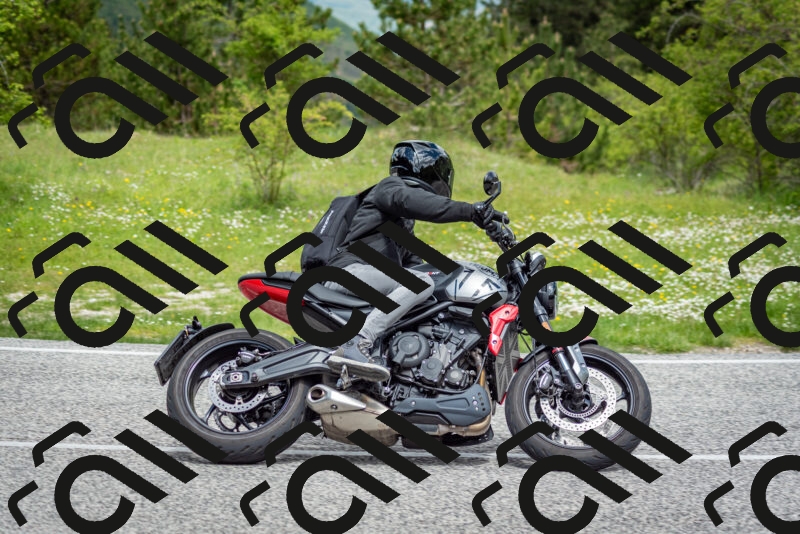 202505181133-DSC_8635_c2