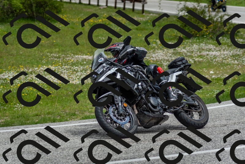 202505181133-DSC_8640_c2