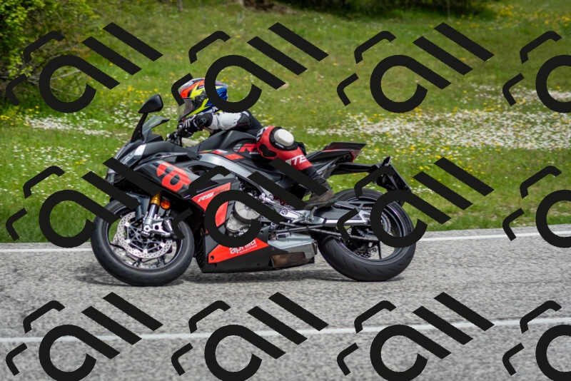 202505181133-DSC_8644_c2