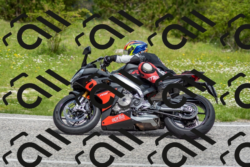 202505181133-DSC_8645_c2