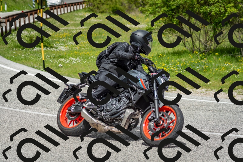 202505181133-DSC_8649_c2