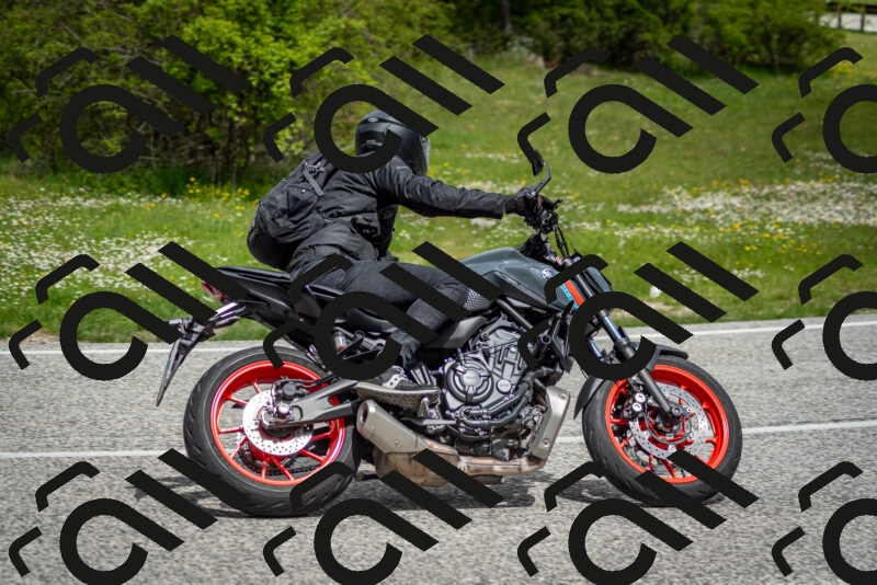 202505181133-DSC_8650_c2