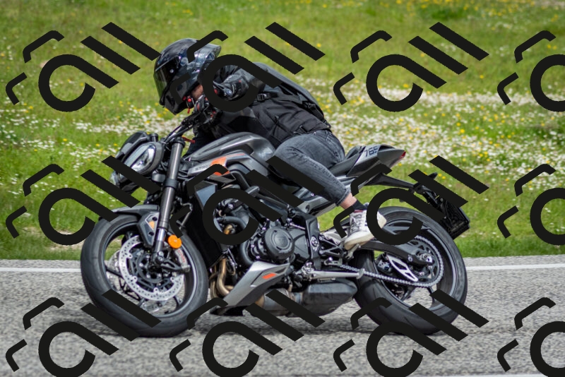 202505181134-DSC_8653_c2