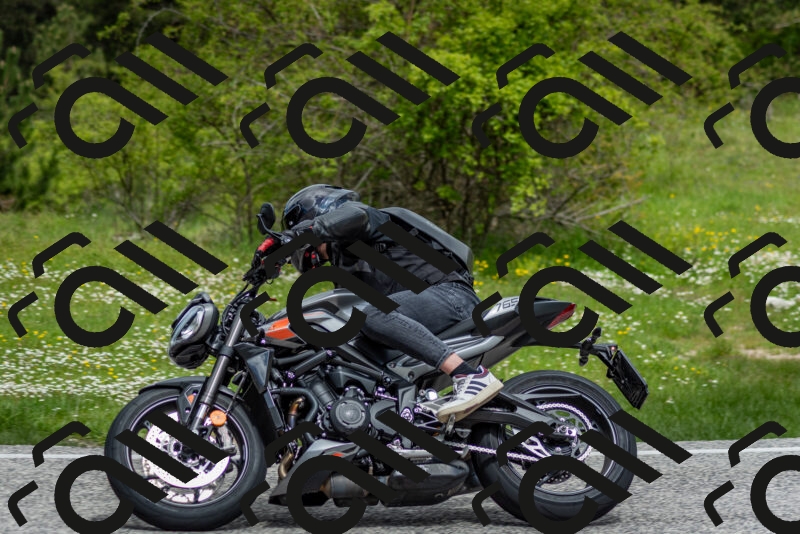 202505181134-DSC_8654_c2