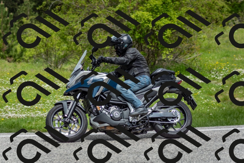 202505181134-DSC_8658_c2