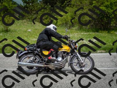 202505181134-DSC_8659_c2