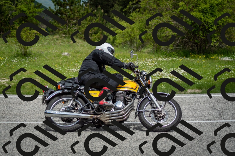 202505181134-DSC_8659_c2