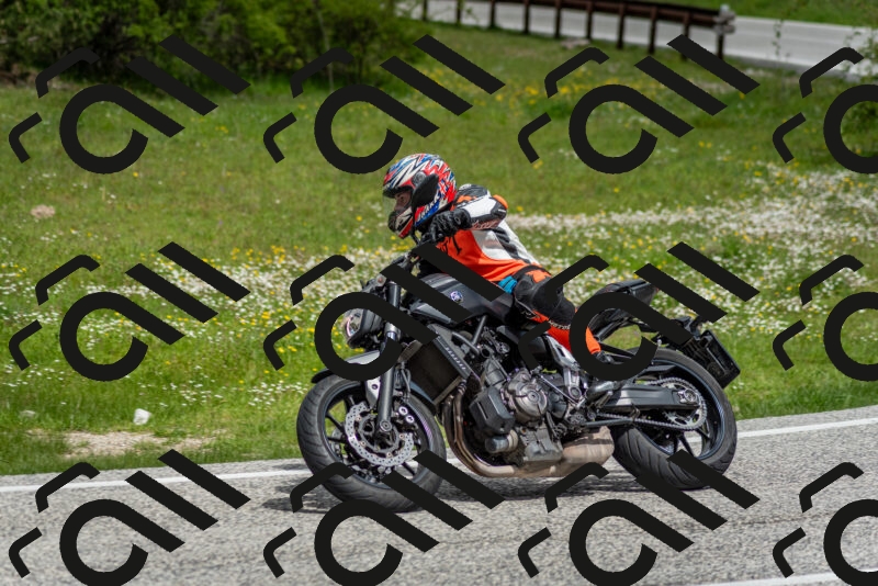 202505181134-DSC_8662_c2