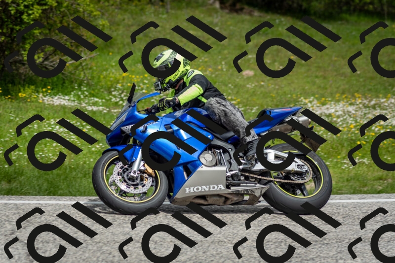 202505181134-DSC_8664_c2