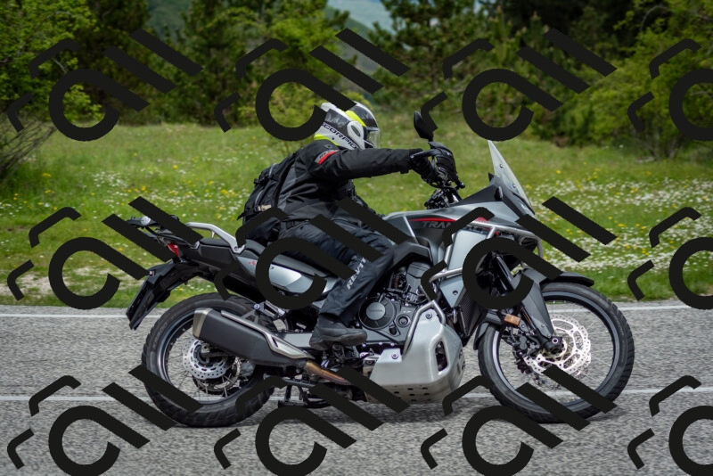 202505181134-DSC_8674_c2