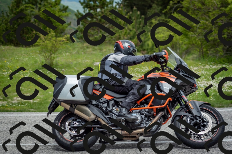 202505181134-DSC_8676_c2