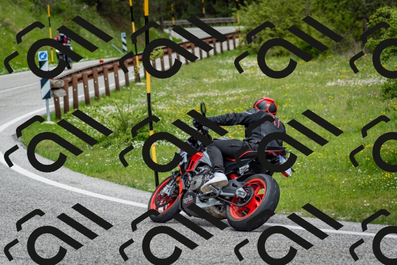 202505181134-DSC_8679_c2