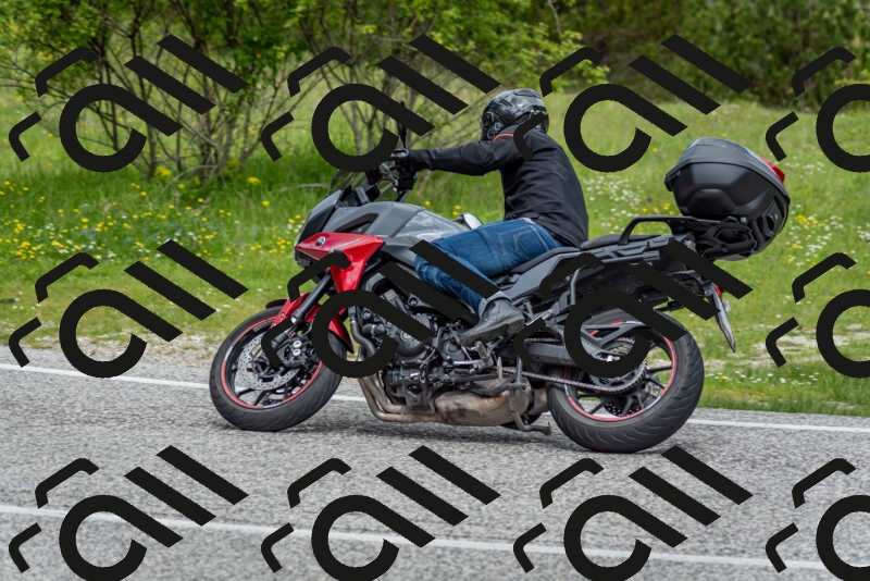 202505181134-DSC_8681_c2