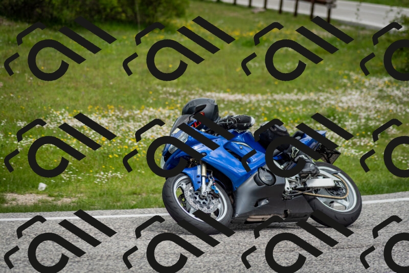 202505181134-DSC_8685_c2