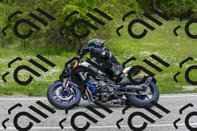 202505181134-DSC_8690_c2