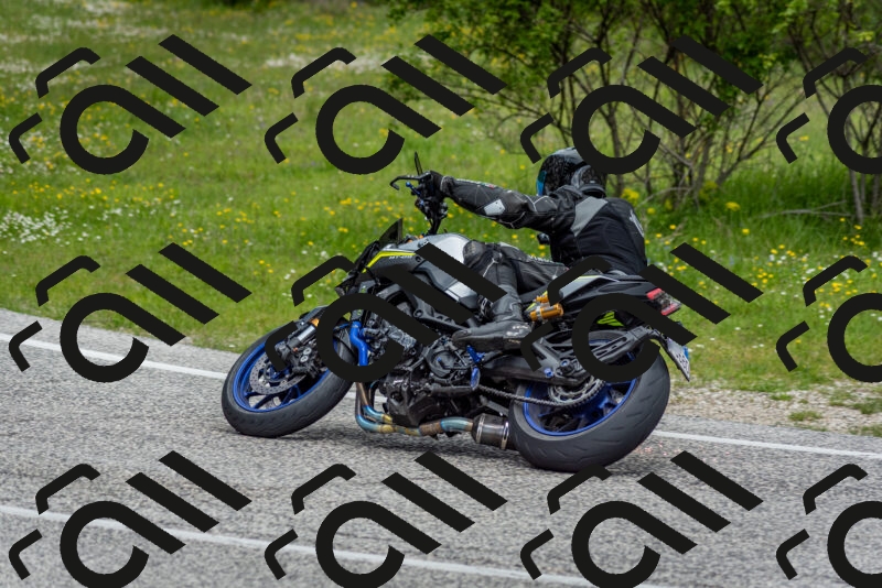 202505181134-DSC_8691_c2